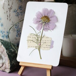 Kaartje 'Cosmea'